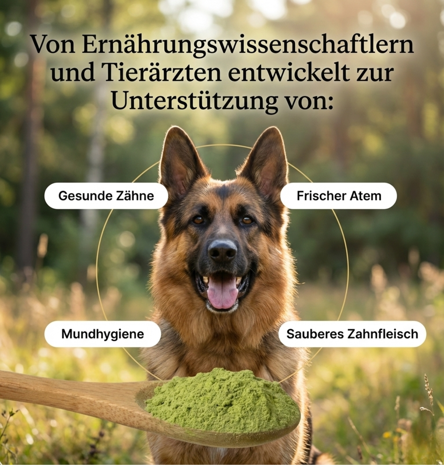 Frischer Atem, gesundes Zahnfleisch und saubere Zähne dank DE-01™ Dental Dogbiotics